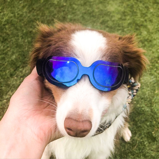 Dog Sunglasses For Small Medium Large Dogs Cats Puppy Outdoor Glasses Pet Toy