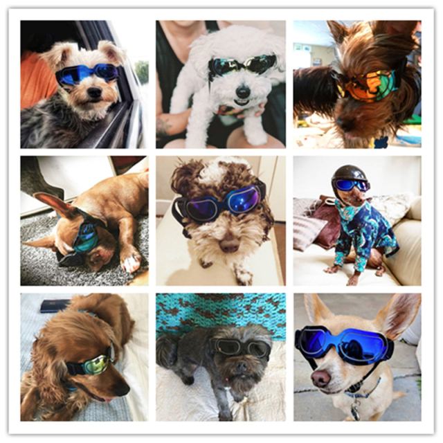 Dog Sunglasses For Small Medium Large Dogs Cats Puppy Outdoor Glasses Pet Toy