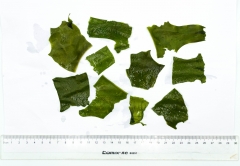 Dried Cut Wakame