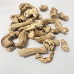 Dried Mushroom Stem Root Leg