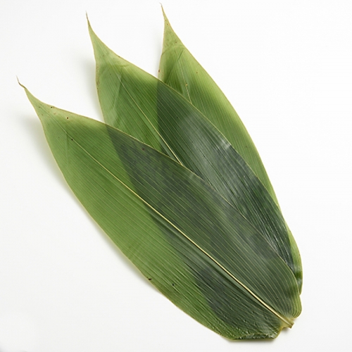 Bamboo Leaves