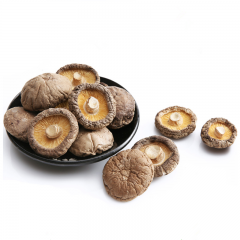 Dried Shiitake Mushroom