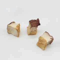 Shiitake mushroom dice cube