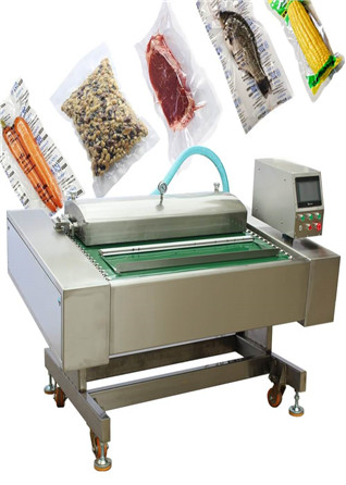 Belt Type Vacuum Packaging Machine