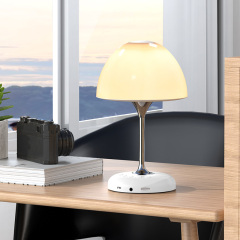 Wireless Multi Function Desk Lamp 6 Colors With Blue Tooth 5.0 Speaker, Radio Inside ,Good Stand Nightlight