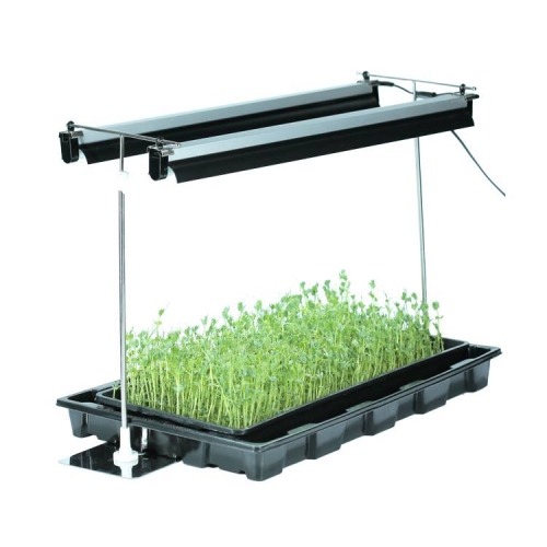 High Output EDJ LED Grow Light for lettuce microgreens