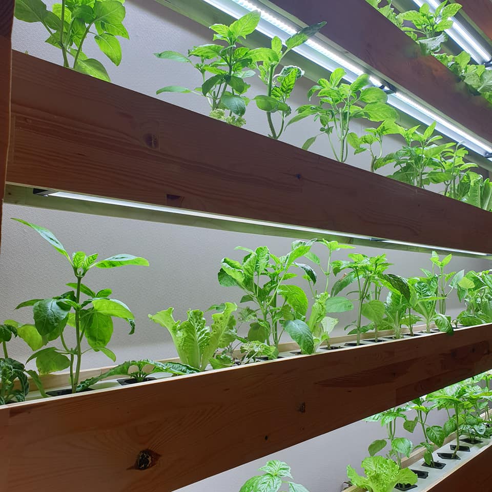 small hydroponic system