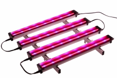 HOT SELLING High Power High Quality EDK LED Grow Light for indoor plants