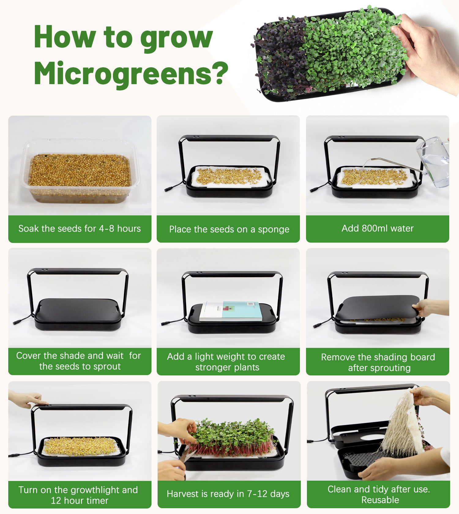 micro green system