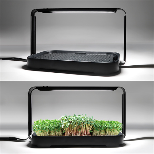 Indoor Microgreen Germination Smart Garden Kit Hydroponic Indoor Growing System