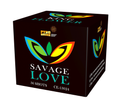 CE-13024 Square shape 36 shots Cake Savage Love F2