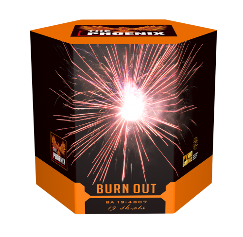 BA19-4807 Hexagon shape 19 shots Cake Burn Out F3