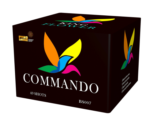 BS007 Square shape 49 shots Cake Commando F2