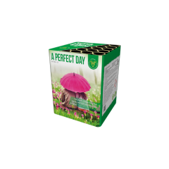 G-9013 A PERFECT DAY 25 shots 30mm caliber silent cake