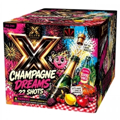 PS-290 Champagne Dreams