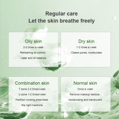 Green Tea Mask Stick Oil Control Moisturizing Cleaning Solid Mask