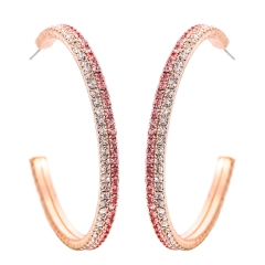 RG 2 Row Crystal Light Rose Hoop Earrings Silver Wholesale