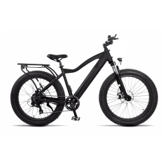 All Terrain e bike