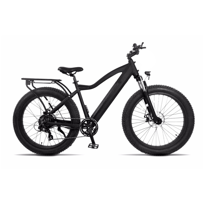 All Terrain e bike
