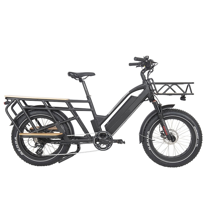 Cargo e bike