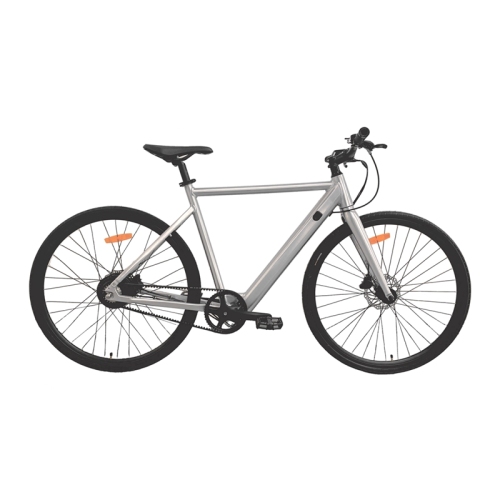 Belt e bike