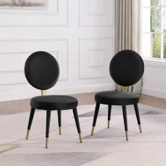 Morden Fort Dining Chair Set of 2 Modern Luxury Upholstered Side Chair for Dining Room, Kitchen, Restaurant