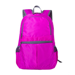 Everreal customized sports travel trekking camping hiking backpack back pack