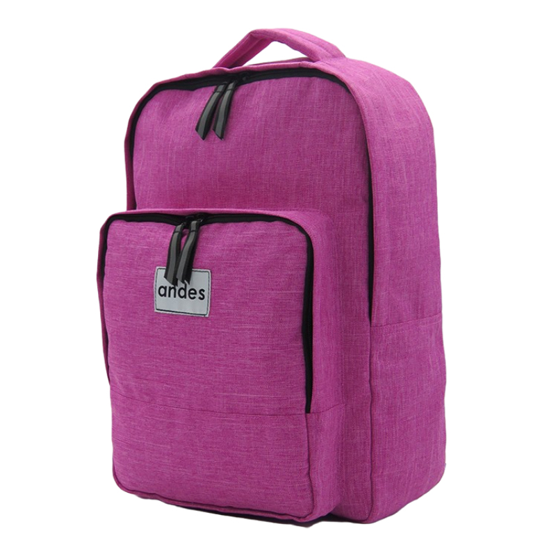 Casual Travel Big Nylon Backpack Bookbag for Women