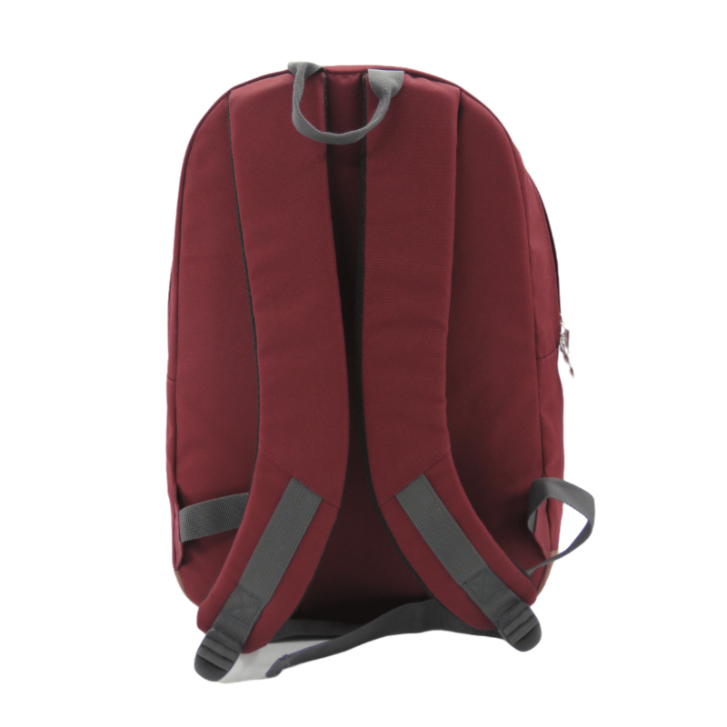 College Style Backpack Casual Weekend Bag