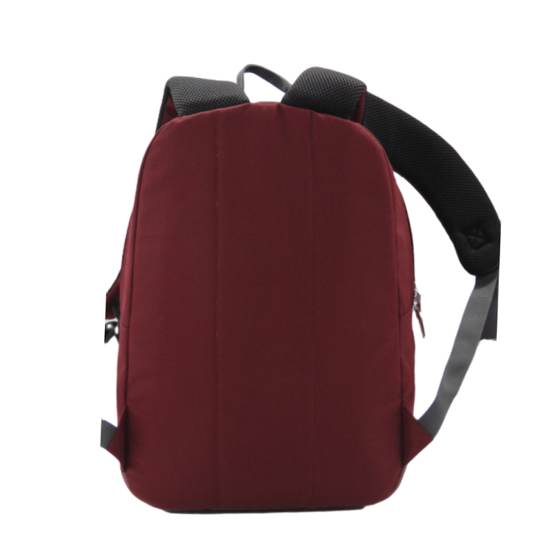College Style Backpack Casual Weekend Bag