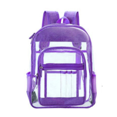 Transparent Clear PVC Backpack for School