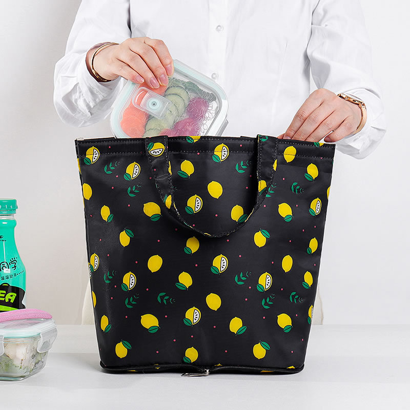 Foldable Lunch Coolers Bag