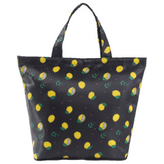 Foldable Lunch Coolers Bag