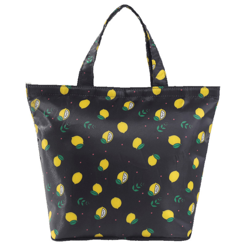 Foldable Lunch Coolers Bag