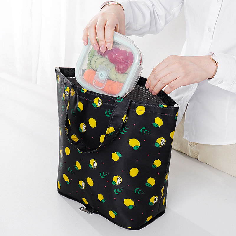 Foldable Lunch Coolers Bag