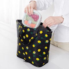 Foldable Lunch Coolers Bag