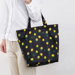 Foldable Lunch Coolers Bag
