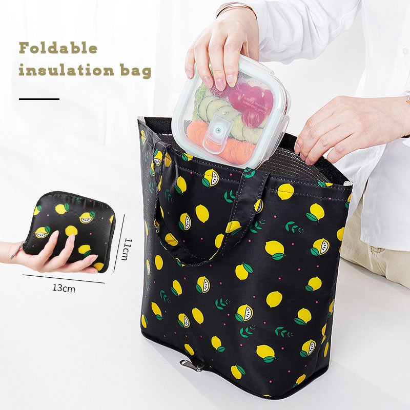 Foldable Lunch Coolers Bag