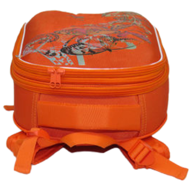 High Quality Printed School Bag