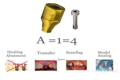 Имплантат AIO 3 в 1 Абатмент: формирователь десны+скан тела+трансфер+аналоговый megagen SIC Zimmer DIO