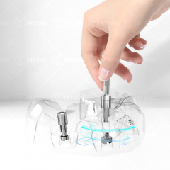 Dental lab carrier to install and remove digital analog