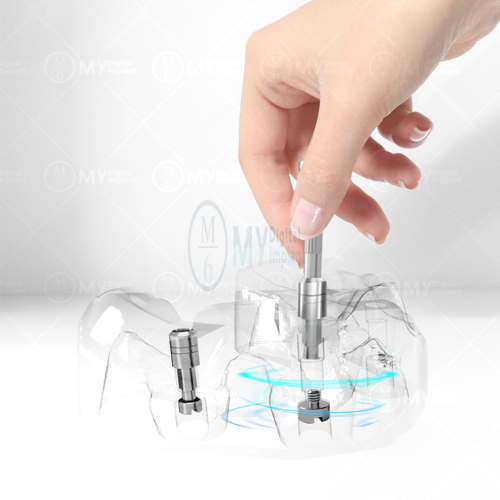 Dental lab carrier to install and remove digital analog