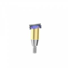 Nobel Biocare dental implant locator abutment with denture housing cap processing pack