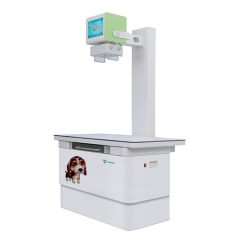 Ysx050 - B High Frequency Veterinary Desktop portable X - ray Digital computer
