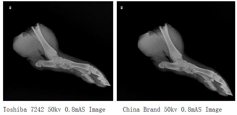 Portable High Frequency Veterinary X Ray Digital Machine Image