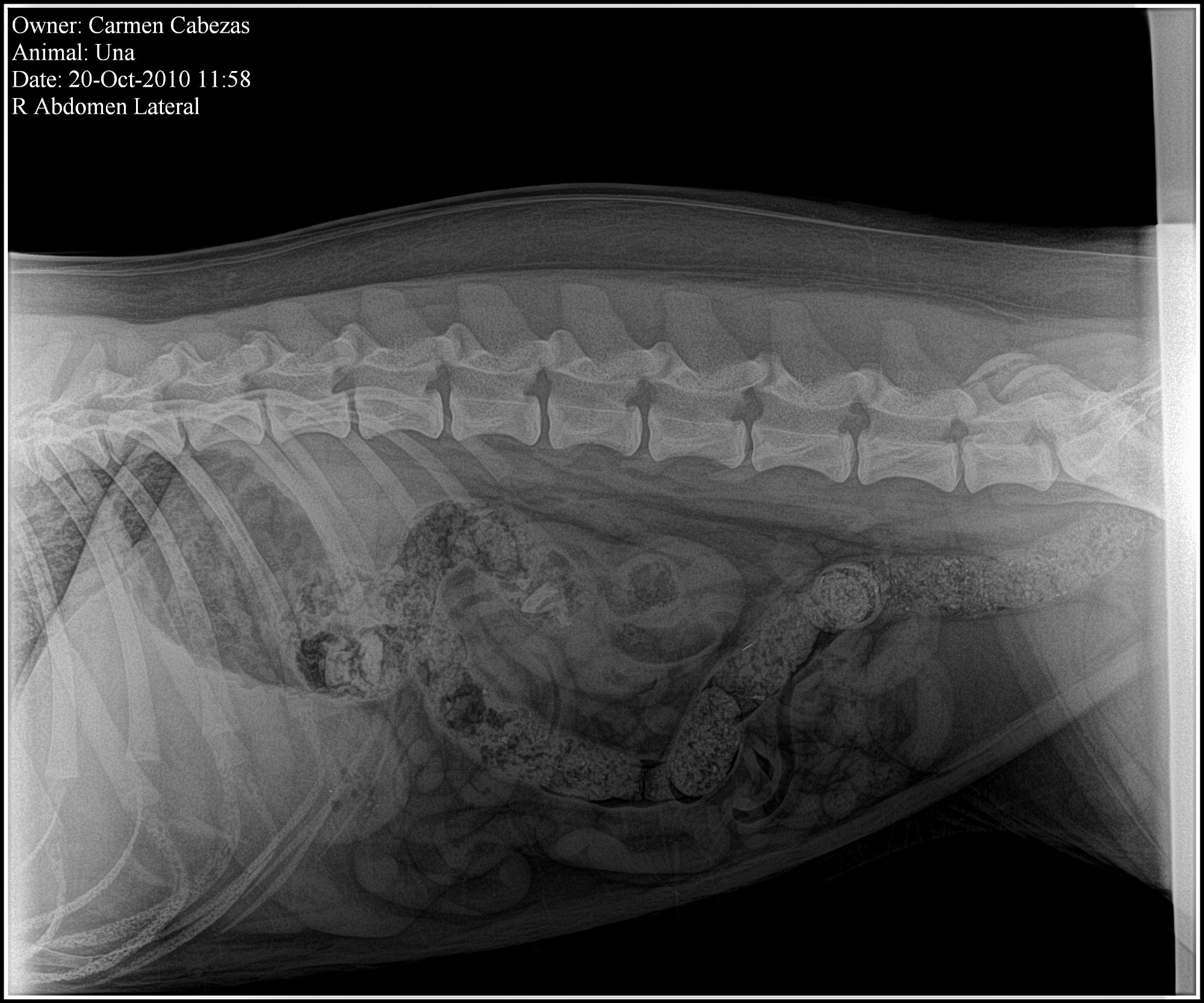 Imagen de la máquina de rayos X digital manual