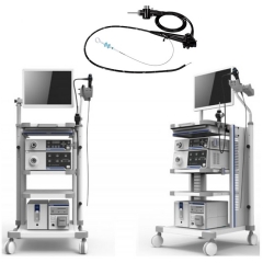 YSVG9800 YSVME2100 Système d'endoscope vidéo de haute qualité