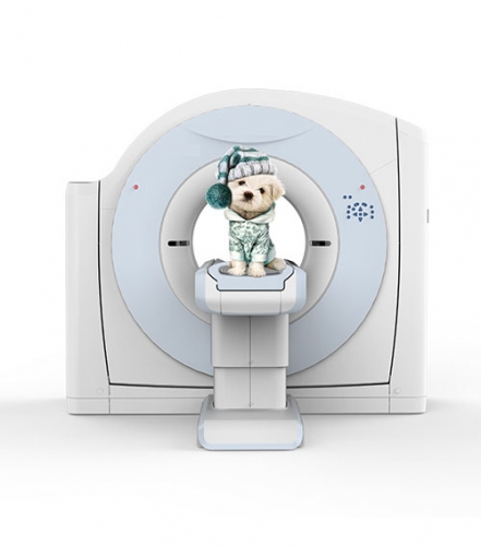 YSCT16V Vet Computered Tomography Animal CT Scanner Radiology Equipment Medical for Pet Hospital