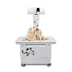 YSX200VET Plus 20kw 200mA Radiografía digital veterinaria X Ray para clínica veterinaria con sistema DR