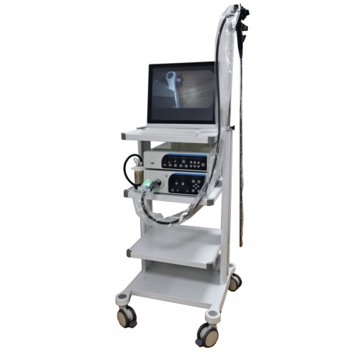 YSVG1050 Système d&#39;endoscope vidéo pour gastroscope et coloscope vidéo HD